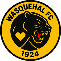 Wasquehal FC